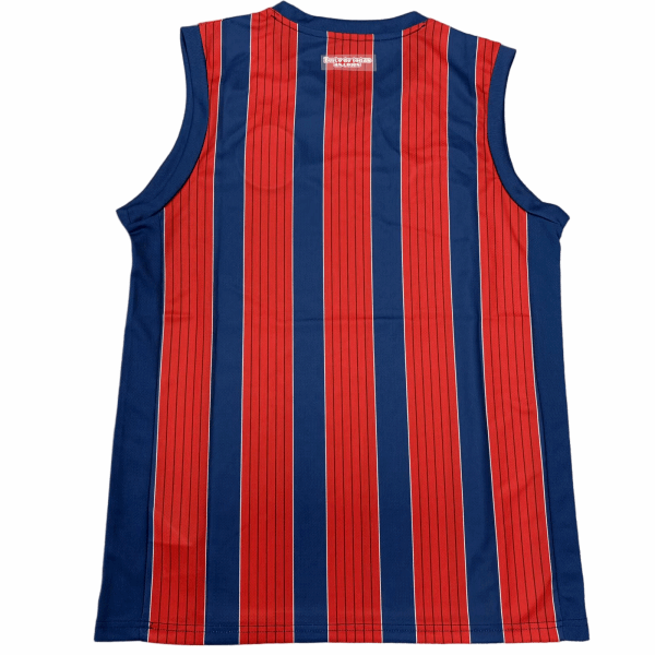 25-26巴伊亚无袖球衣 速干运动服